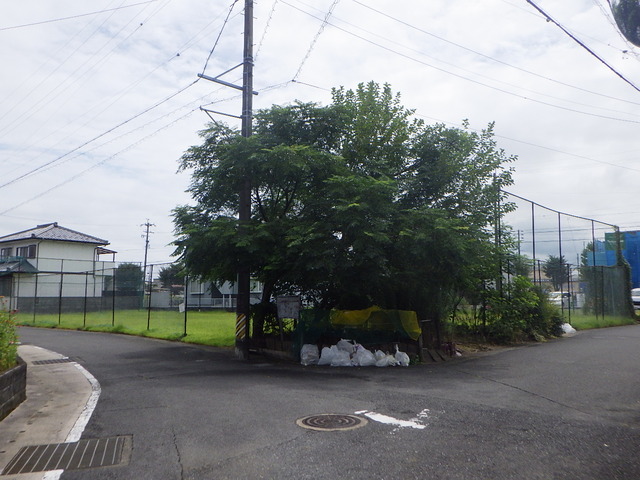防球ネット撤去・植木抜根【岐阜市】