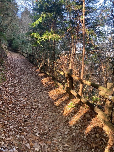 岐阜市の土木・建設工事・脱着式SP基礎 株式会社 AKメンテナンスの近況工事「ながら川ふれあいの森　木製手摺設置工事」